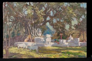 Puits de Kawardha et arbre Banyan - Tim Scott Bolton